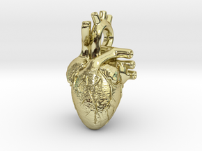 Anatomical Heart Pendant in 18K Gold Plated
